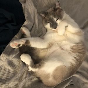 Meet your Posher, Kim